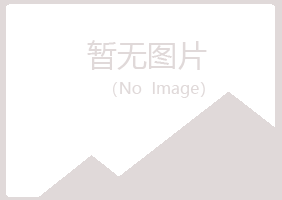 烟台晓夏咨询有限公司